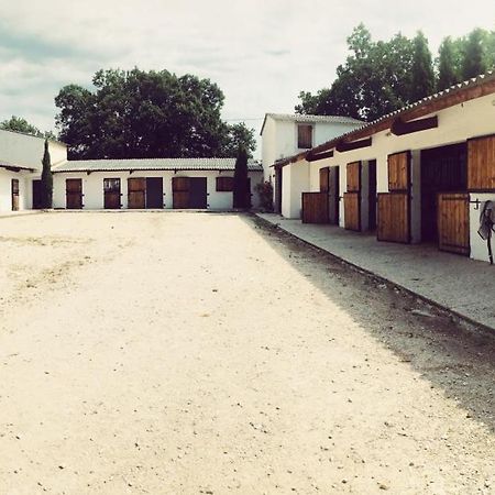 Maison Au Milieu Des Chevaux LʼIsle-sur-la-Sorgue Εξωτερικό φωτογραφία